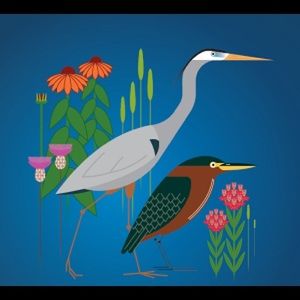 Meet your Posher, Tim